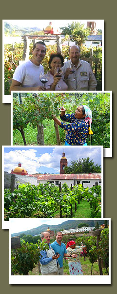 mexico hotel wine festival