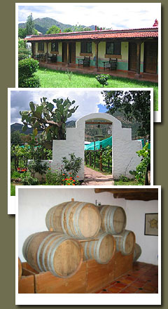 hotel mision wine cellar