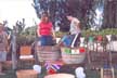 vintage winemaking techniques